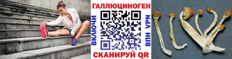 Псилоцибиновые грибы MAGIC MUSHROOMS  Магнитогорск 